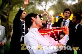 Músicos para cualquier celebración: violinistas, etc...